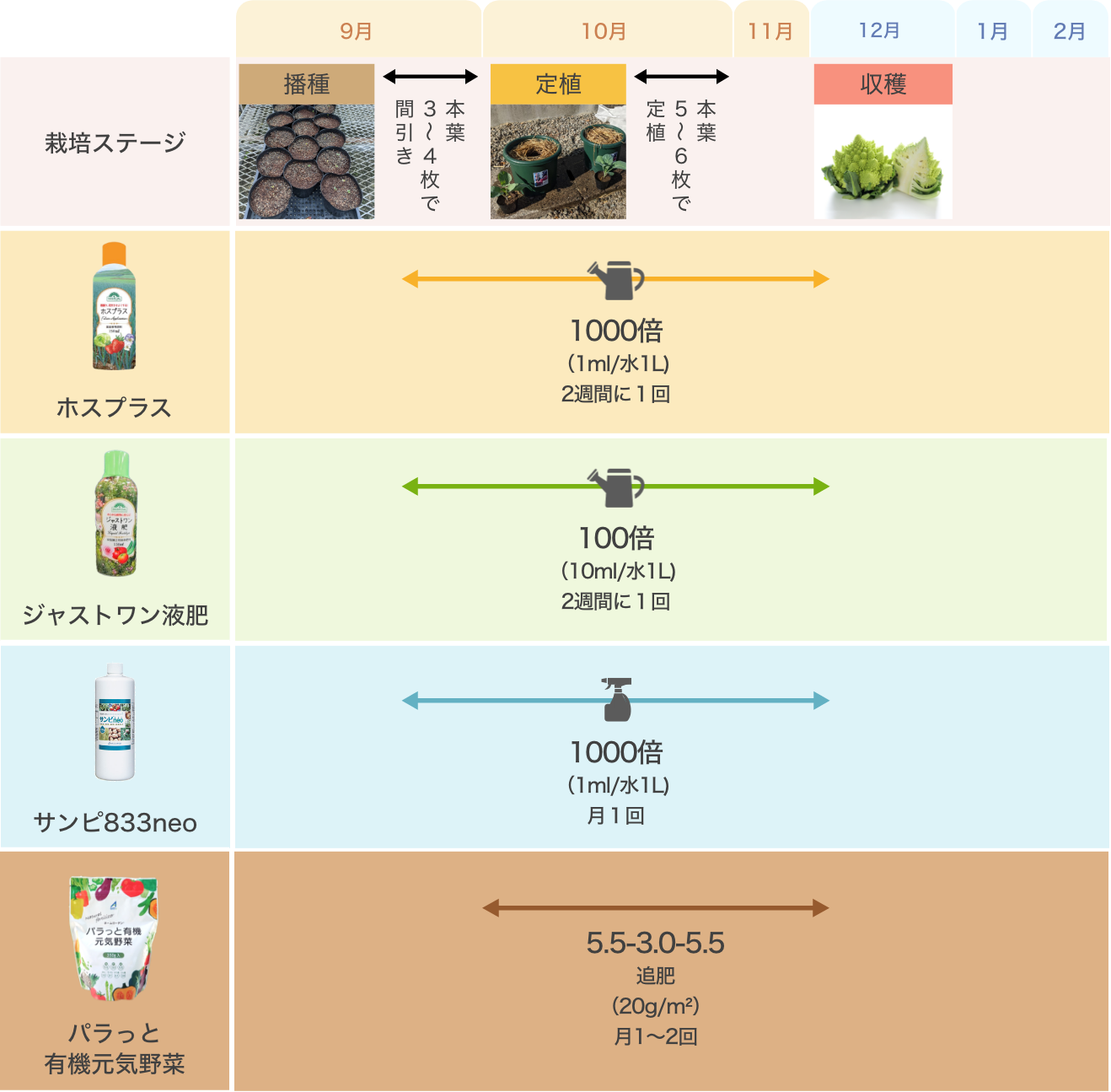 ロマネスコ 種 育て方 アグリオ栽培メディア