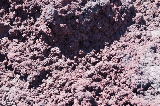 火山灰土壌